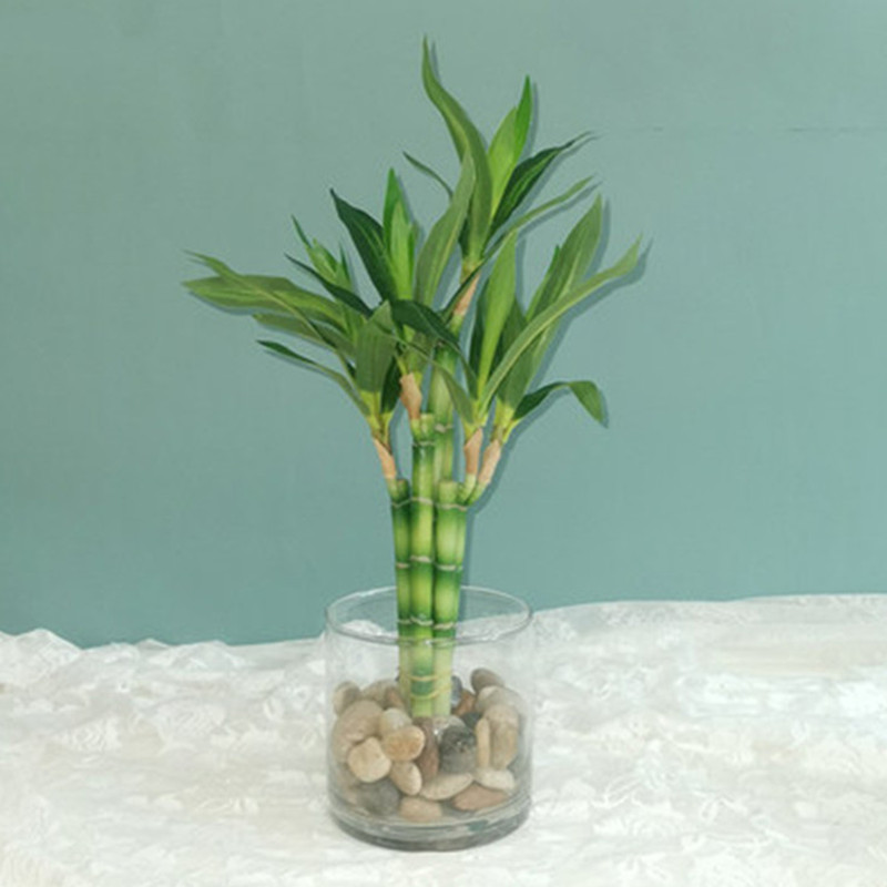 Desk Setup Plant - جديد 40 سنتيمتر rFtificial محظوظ الخيزران