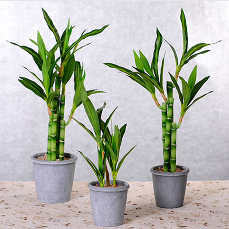 جديد 40 سنتيمتر rFtificial محظ - مراجعة Desk Setup Plant وسعره