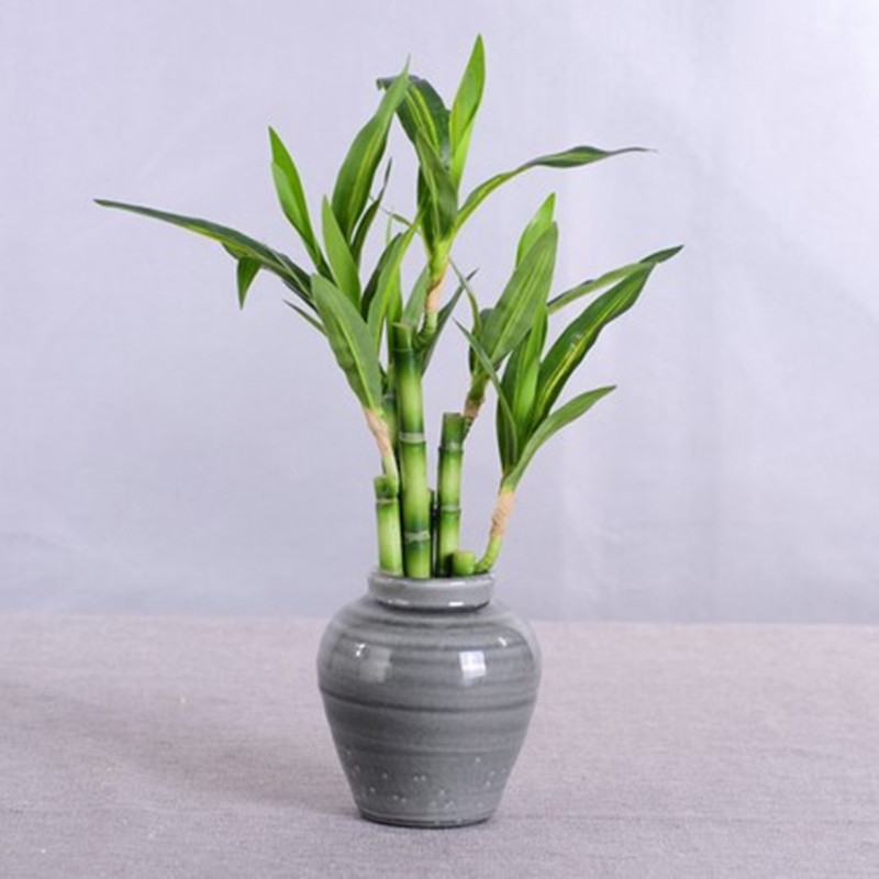 جديد 40 سنتيمتر rFtificial محظ - مراجعة Desk Setup Plant وسعره