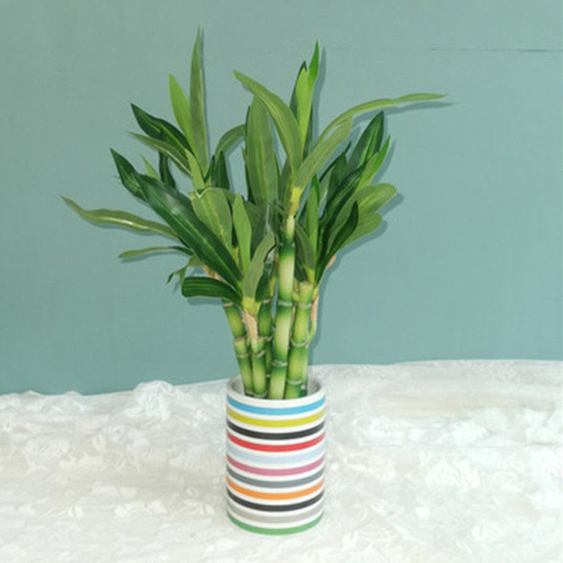 جديد 40 سنتيمتر rFtificial محظ - مراجعة Desk Setup Plant وسعره